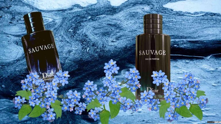 Dior Sauvage dossier.co – A Review