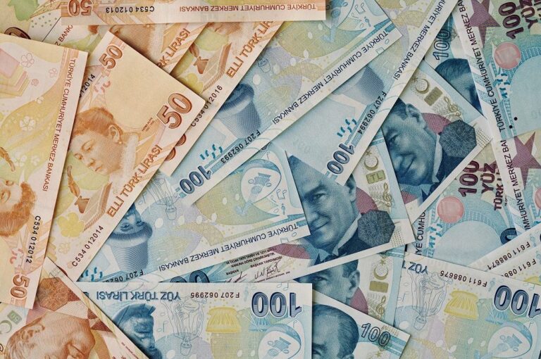 Foreign trade in Turkiye’s currency reaches 34.2 bn TRY in August 2022