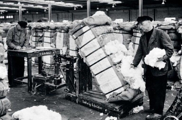 Swiss firm Uster takes closer look at cotton on World Cotton Day