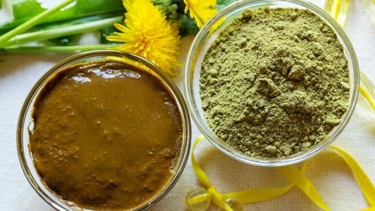 Karwa Chauth: Learn how to make henna at home for the sake of your skin