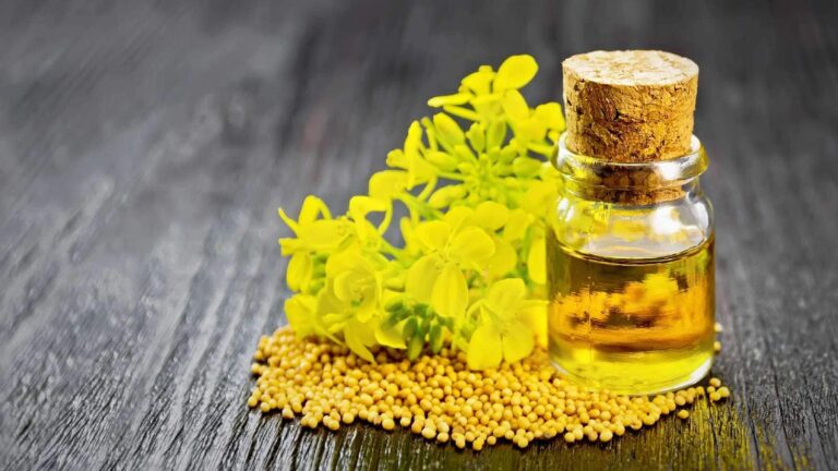 Mustard oil benefits: Ayurveda swears by these 5 benefits of mustard oil