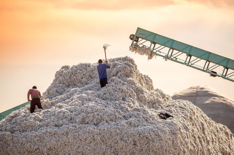 Indian industry body calls for extension of duty-free cotton import