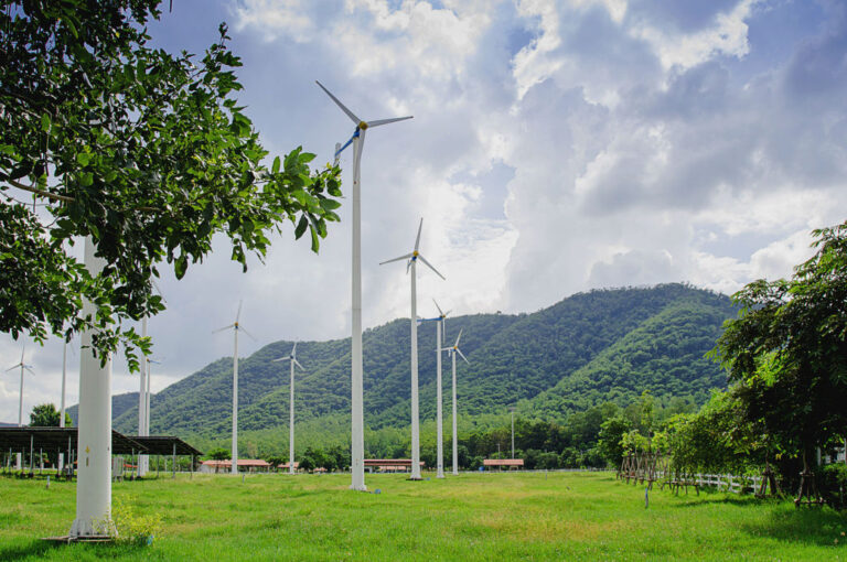 26 nations, EU launch Forests and Climate Leaders’ Partnership