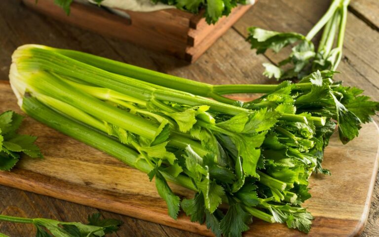 Celery Leaves Have Many Benefits For Men