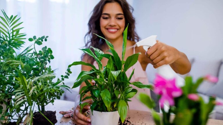 Get to know the health benefits of indoor planting!