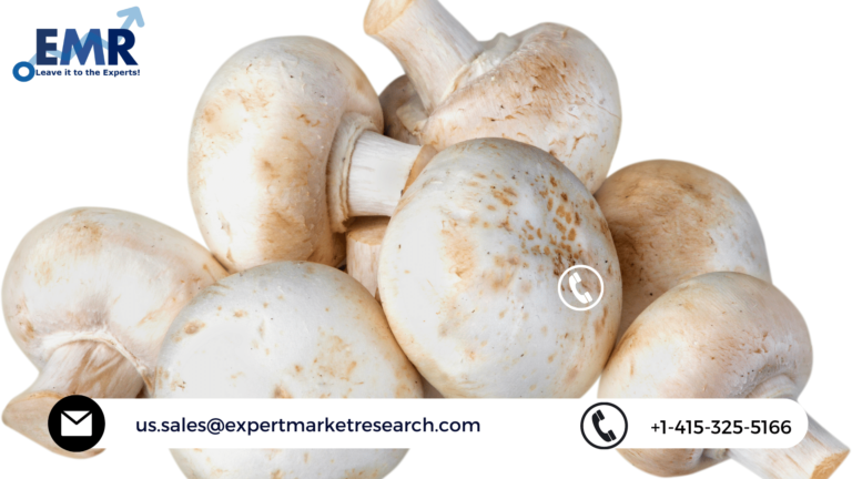 Mushroom Market Size, Share, Industry Report, Growth, Analysis, Major Segments and Forecast Period 2021-2026