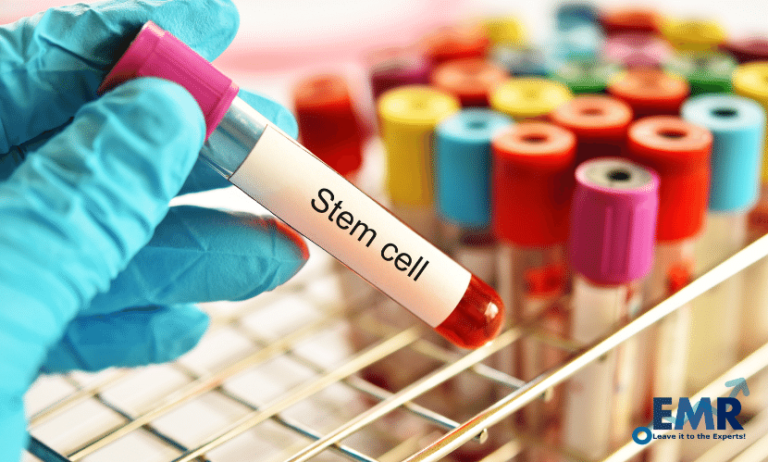 Stem Cell Market Growth, Analysis, Size, Share, Price, Trends, Report, Forecast 2022-2027