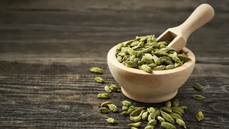 The Health advantages Of Cardamom