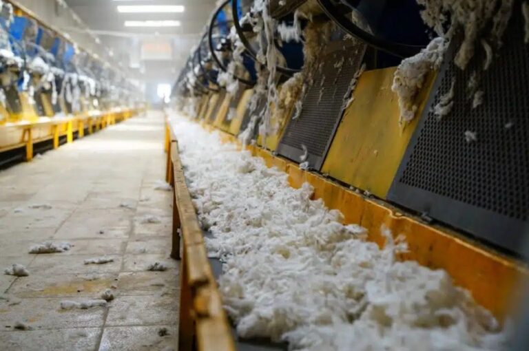 Europe’s Better Cotton working on developing traceability capability