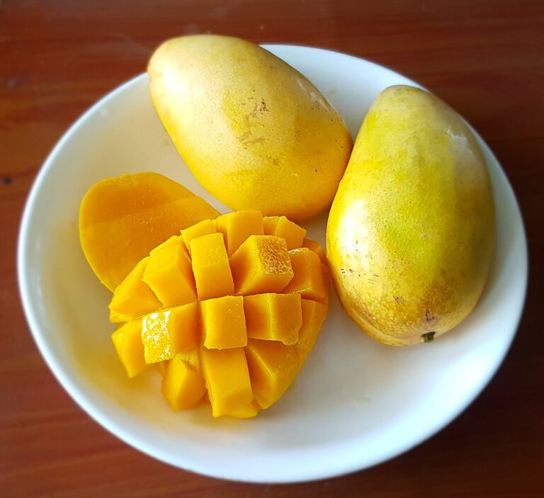 Mangoes Numerous Medical Advantages