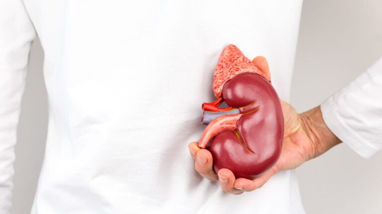 Organ transplantation risks: Be aware of the possibilities