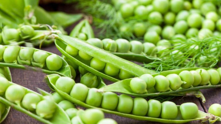 3 side effects of eating green peas everyday