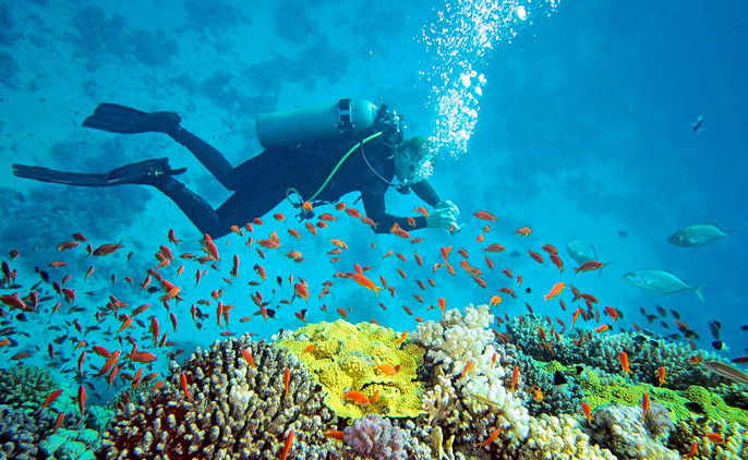 Scuba Diving And Water Sports in Malvan