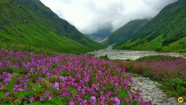 Valley of flowers trek: best monsoon trek in india