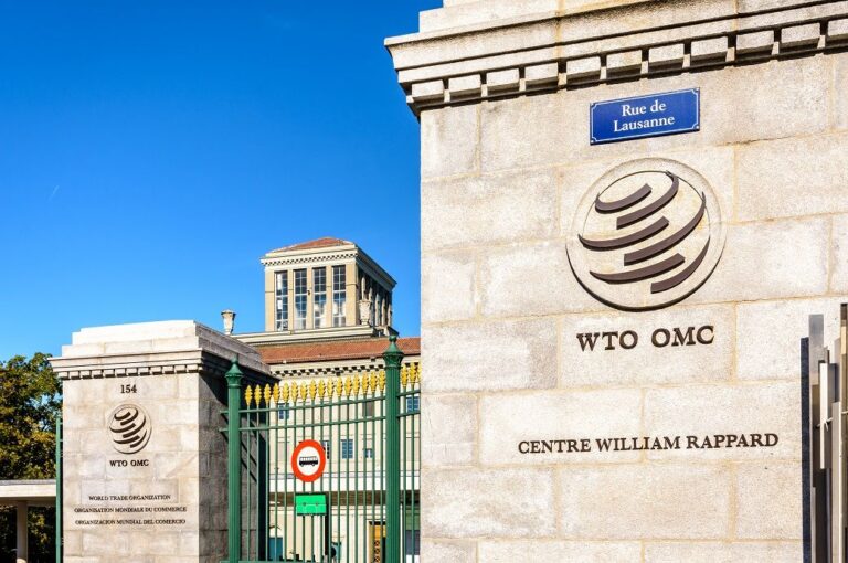 Future of global trade is digital, green & inclusive: WTO