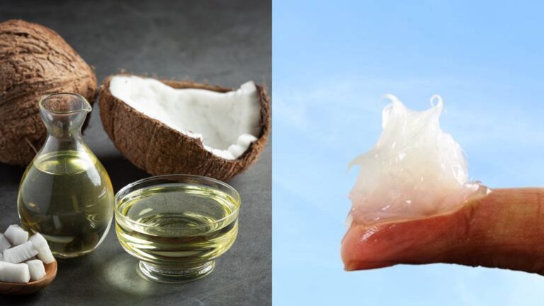 Coconut oil vs petroleum jelly: Know which one is better for dry skin