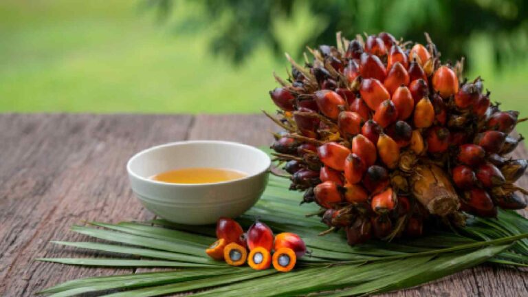 Is palm oil good for you? 7 things to know about it