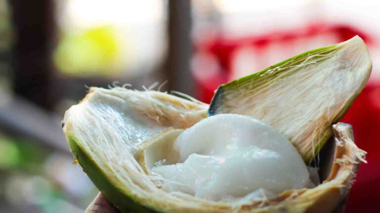 Coconut malai benefits: Know why you must include it in your diet