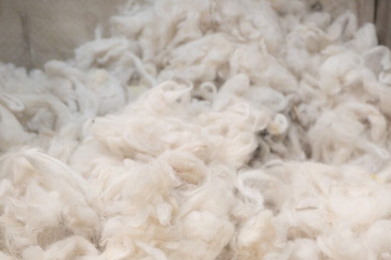 Australian wool auctions experience losses despite positive demand