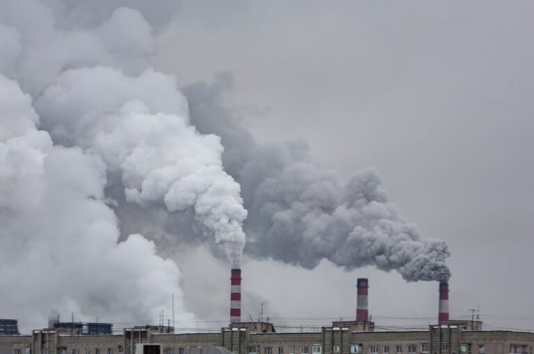 China’s CO2 emissions per 10K yuan of GDP dropped by 0.8% YoY in 2022