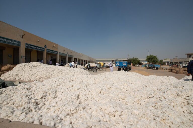 Global economic slowdown may affect optimism in Indian cotton trade