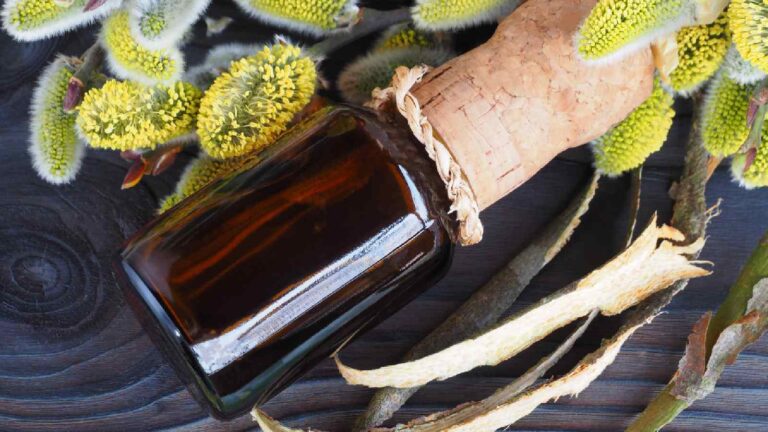 The benefits of willow bark extract for pain relief and skin care