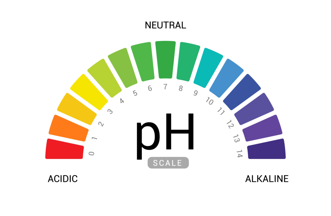 what does ph stand for